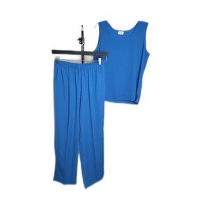 Regal Vintage Top & Pull On Elastic Waist Crop Pants Outfit Set ~ Sz PL ~ Blue